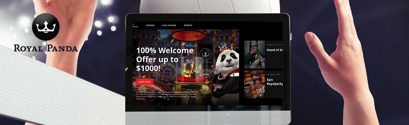 Royal Panda betting site offers to bet on various fields